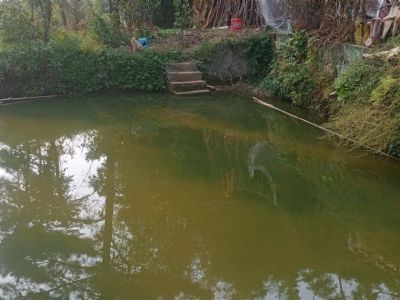 0元免費出租眉山仁壽汪洋鎮民益村獨門(mén)獨院農村老屋