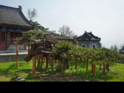 村邊相鄰兩個(gè)院