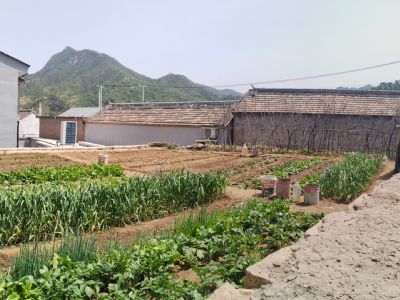 北京昌平延壽鎮農村院子出租，村口把邊小院，環(huán)境好