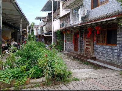 成都都江堰市青城山下青景新居住房出租