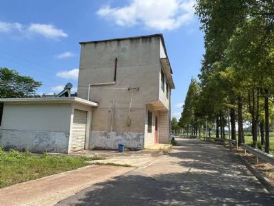 長(cháng)沙市長(cháng)沙縣果園鎮三室二廳二衛農村房子出租