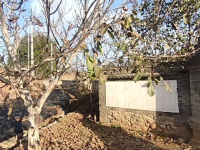 密云農村7畝大院出租-山水民居48號院密云水庫500米