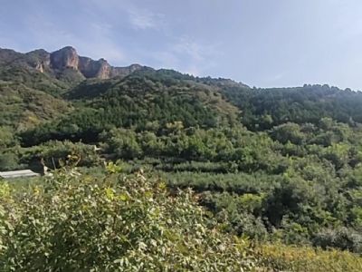 密云农村2.5亩大院出租-清水河畔18号院四面无邻居视野无敌送70亩果林耕地
