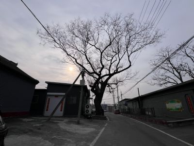 出租北京市懷柔區農村院子-橋梓鎮平義分村206號