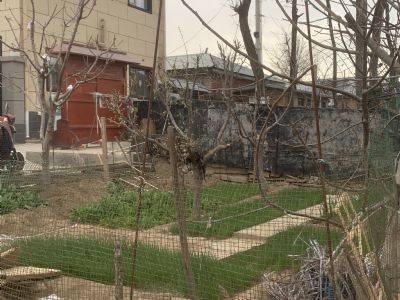 北京顺义农村院子出租 方便停车 可以种菜园 紧邻京平高速通怀路