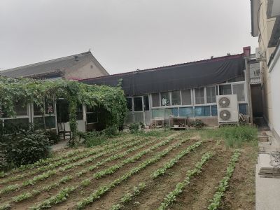 北京市顺义区北小营镇农村院子出租