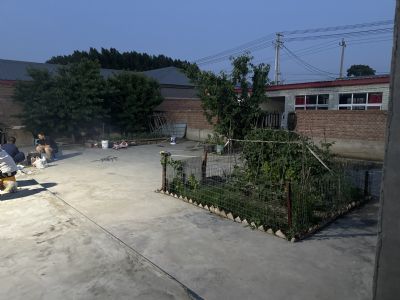 北京顺义区北务镇于地村农村院子出租