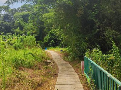 广东省中山农场小院出租