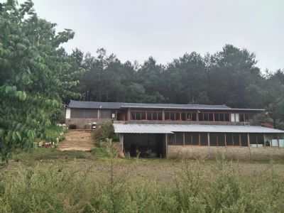 云南大理劍川縣沙溪小森林農場(chǎng)出租