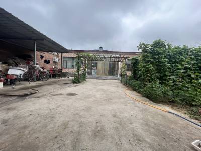 李橋種菜院子，停車方便，可以帶家具