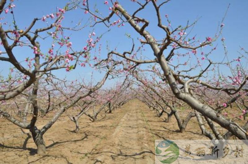 平谷地区百亩地热温泉建设用地