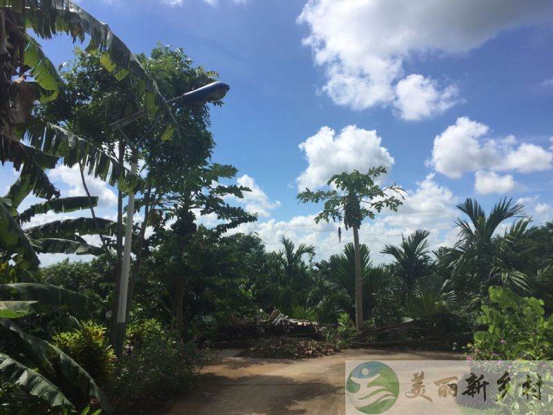 海南海口机场半小时生活圈内农场两层小楼带院子可按月租（含宅基地使用权）