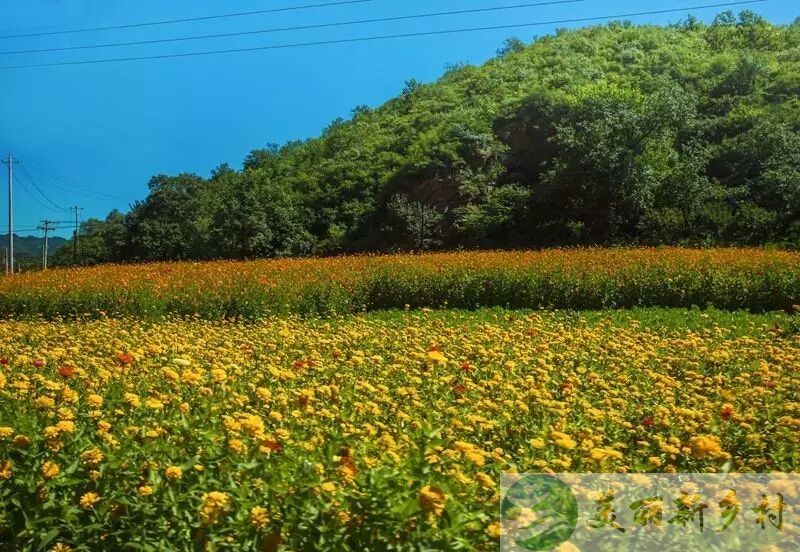 北京市怀柔区白河湾民房 （含宅基地使用权）