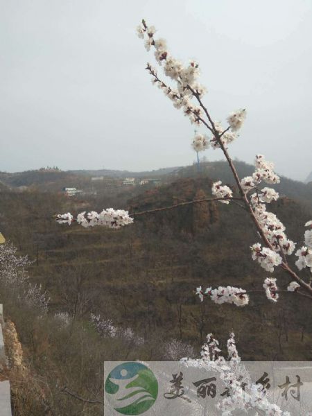 北京平谷山顶农家小院（含宅基地使用权）