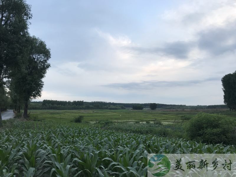 延庆区 松山、龙庆峡风景区附近避暑纳凉小院 （含宅基地使用权）