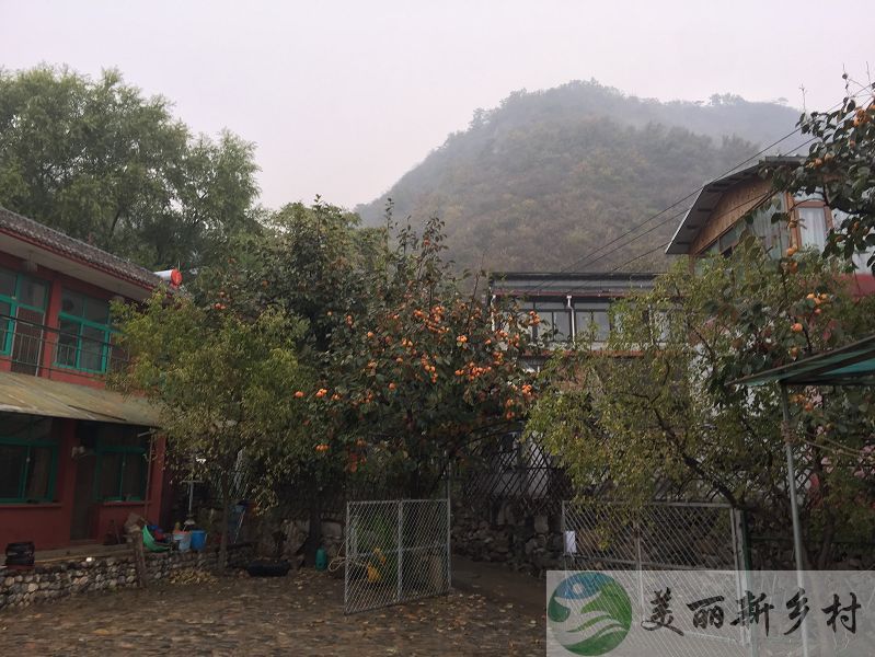 怀柔 九渡河 撞到口村 长城脚下的山间宅院（含宅基地使用权）