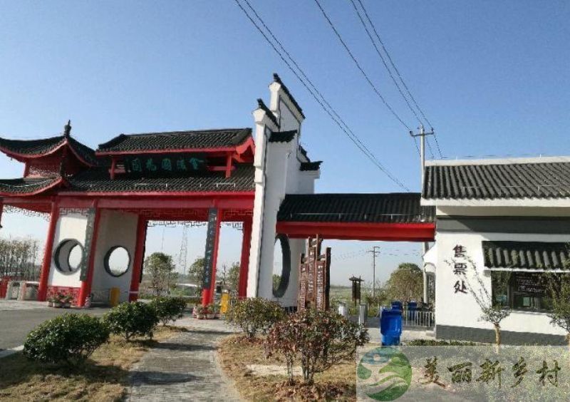 南京江宁区 谷里街道 超大宅院出租 （含宅基地使用权）