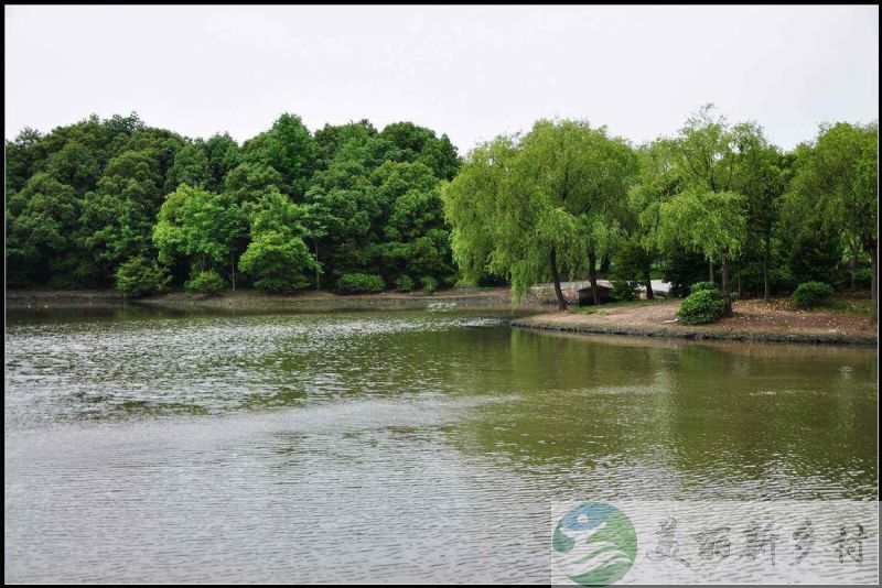 闵行区 浦连路 独门独院的农村自建房一套出租 （含宅基地使用权）