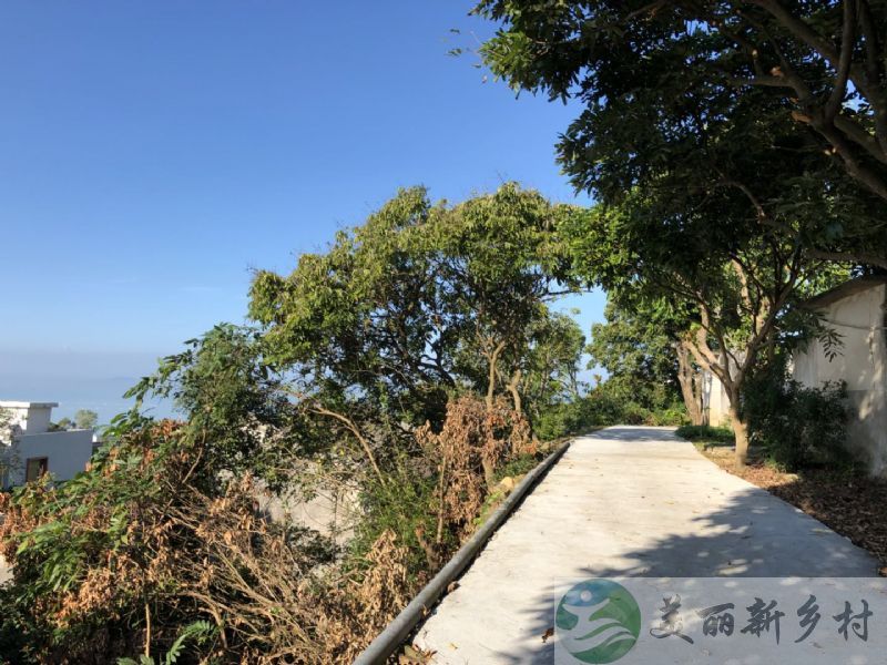 广东省 汕头市 南澳县 走马埔村  景区内 背山面海小院  出租 