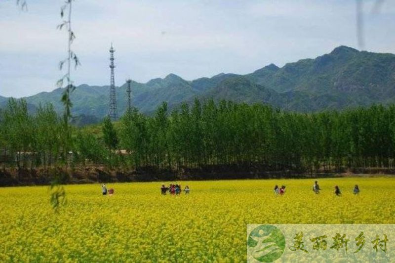 北京市密云区北庄乡村别墅出租（含宅基地使用权）