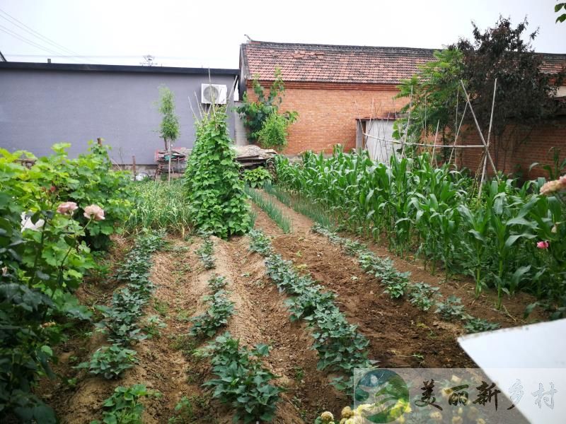 北京 顺义区 木林镇 王泮庄村 精装带院平房出租（含宅基地使用权）