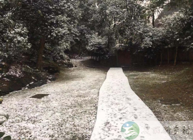 浙江省 杭州市 西湖景区内 三层民房 出租（含宅基地使用权）