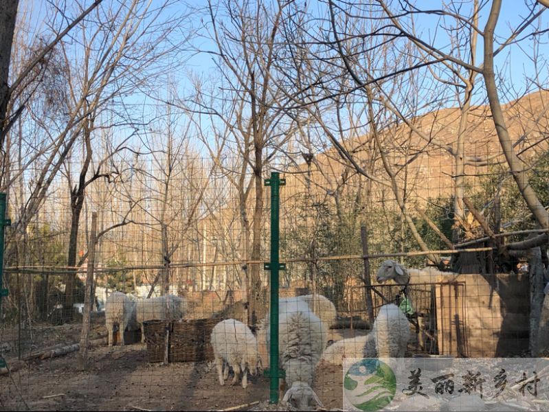 河北省保定市涞水县一渡镇悟空寺村33000平山地山庄出租