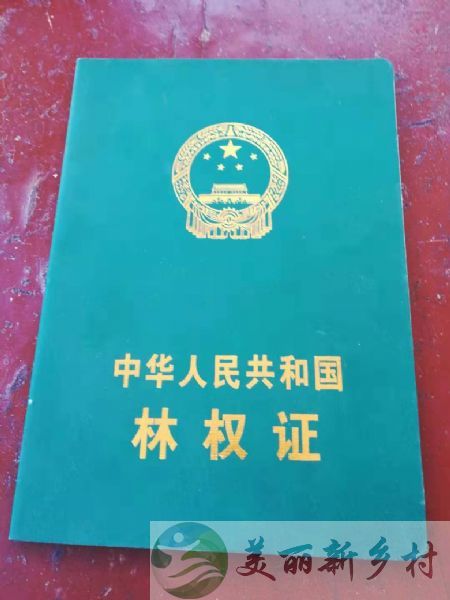 河北省保定市涞水县一渡镇悟空寺村33000平山地山庄出租