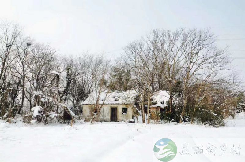 无锡市 宜兴市 雪景老房出租（含宅基地使用权）