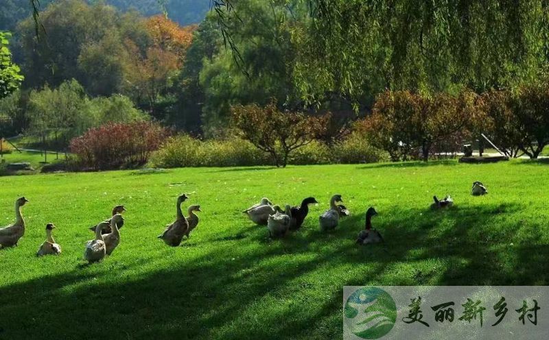 怀柔 桥梓镇 3室2厅精装农家院首次出租（含宅基地使用权）