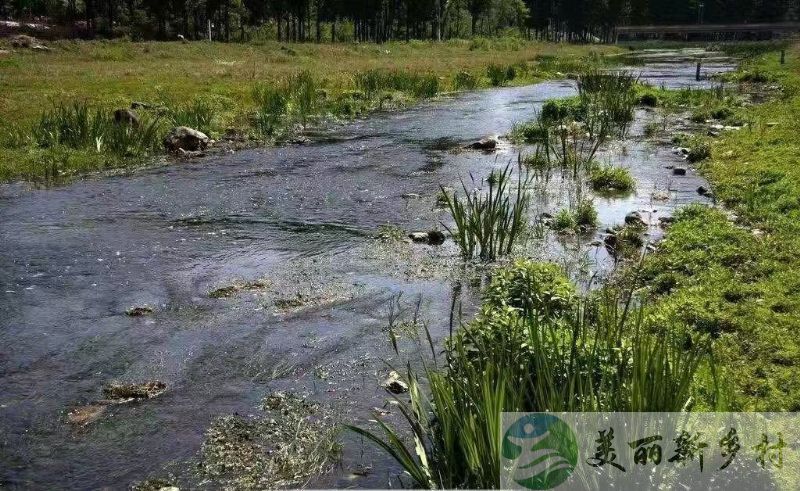 怀柔 桥梓镇 3室2厅精装农家院首次出租（含宅基地使用权）