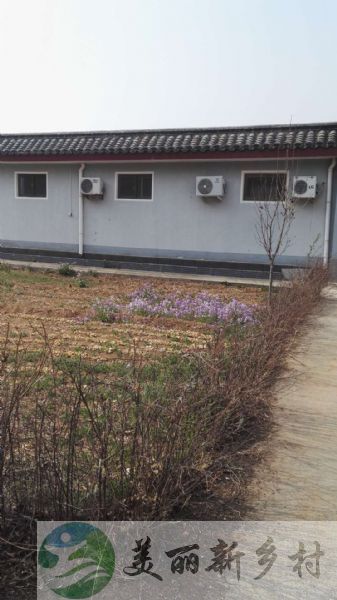 北京市 平谷区 熊儿寨乡 南岔村 四合院出租（可种菜、可停车）（含宅基地使用权）