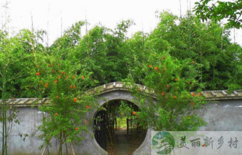 湖北省 荆州市 荆州区 旅游名村 桃花村 酒楼出租