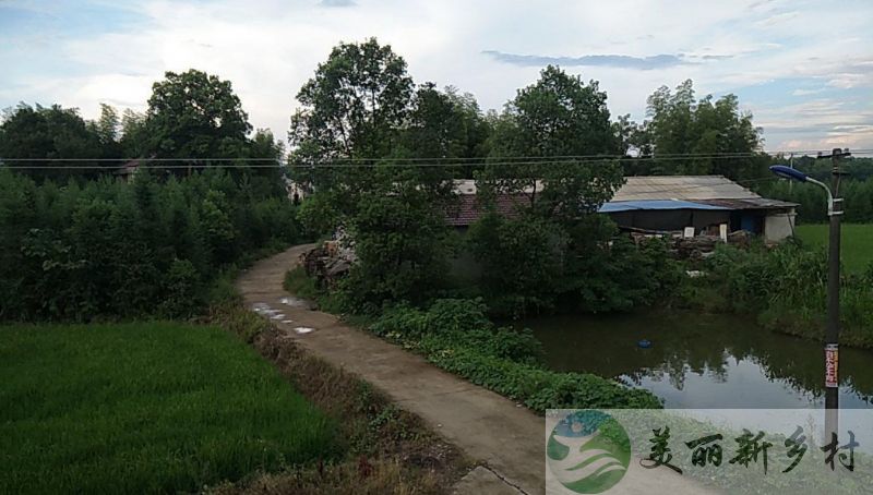 湖南省 益阳市 桃江县 石牛江镇 牛剑桥村 厂房 （1200平米）出租