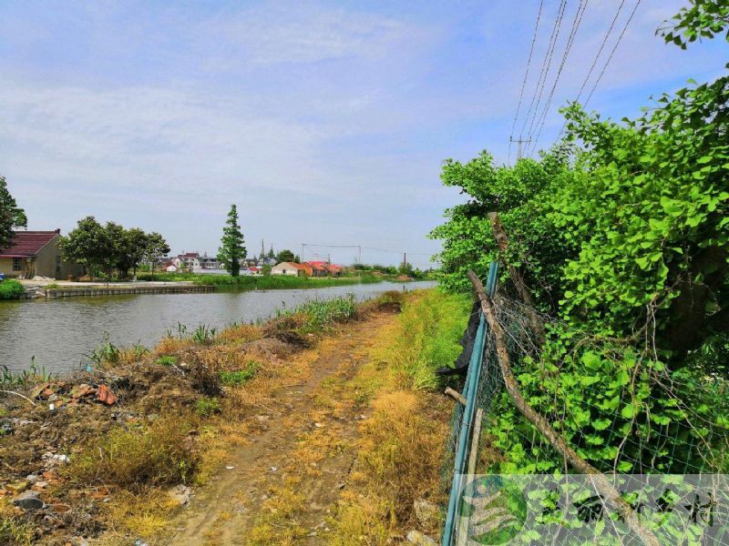 上海市 崇明区 晨光村 农村老房出租