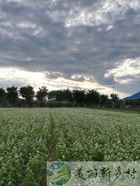 北京市延庆区香营乡后所屯村院子出租