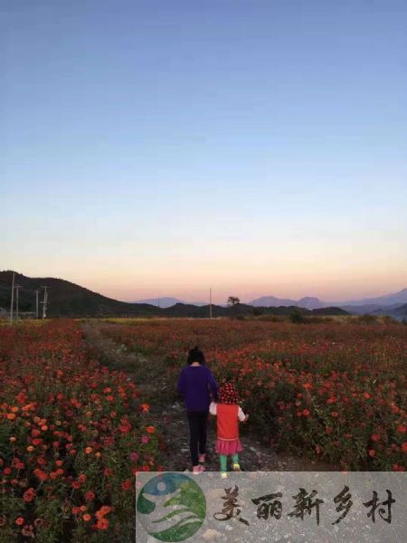 北京密云区三合院出租