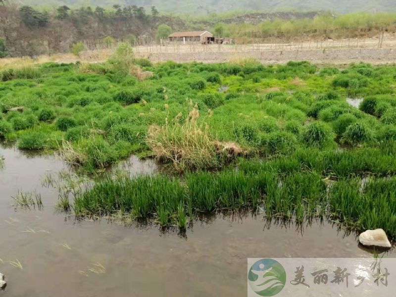 怀沙河畔  山水之间二层乡间别墅小院