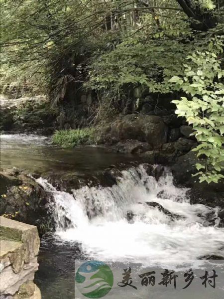 浙江杭州余杭鹭鸟镇太平村山沟沟风景区内房屋出租