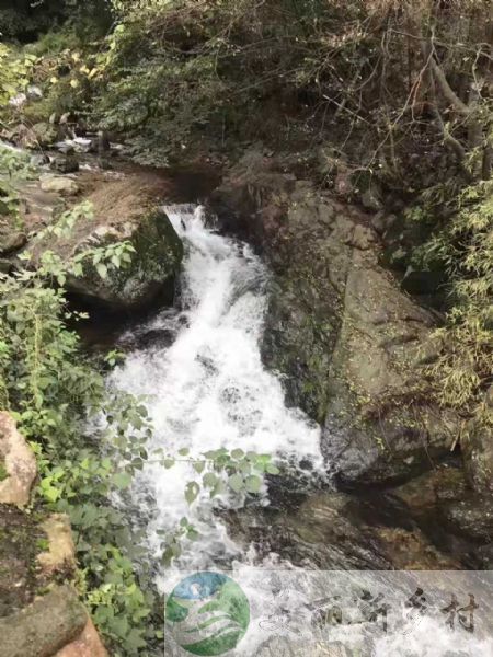 浙江杭州余杭鹭鸟镇太平村山沟沟风景区内房屋出租