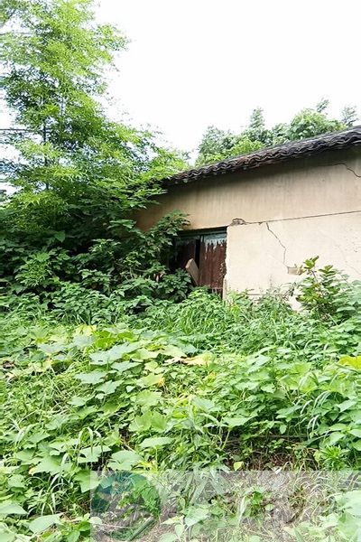 上虞区梁湖街道外梁湖岱头山