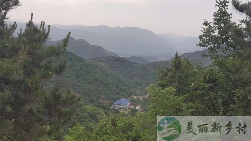 天津蓟县下营镇苦梨峪村大秋桃峪 免租金 宅基地出租