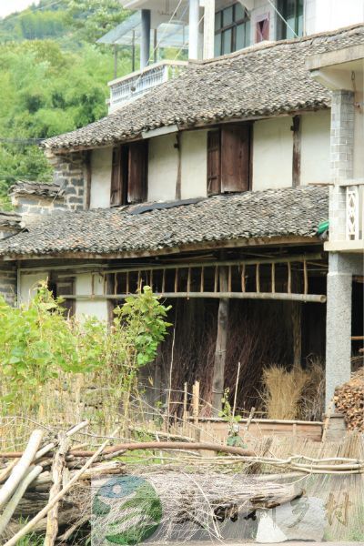 上虞区陈溪陈家岙村吴金茶农房出租