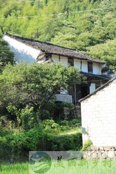 上虞区陈溪陈溪村王建平农房出租