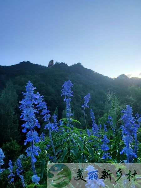 雾灵山附近仙山溪语民宿