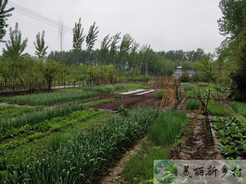 北京市房山区长沟镇自家宅基地新建农房出租