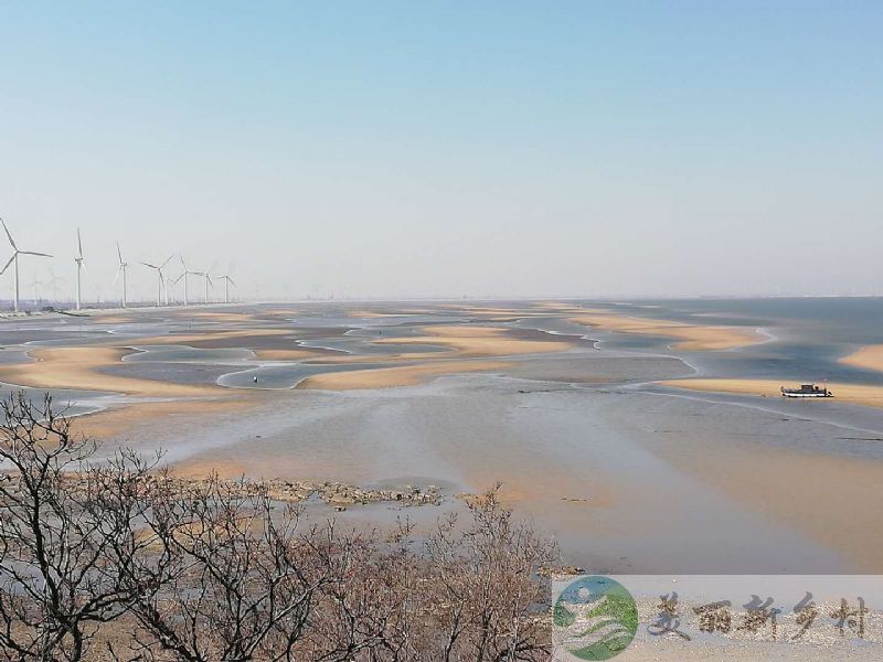 山东莱州市虎头崖村望海大院出租