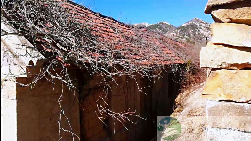 山东烟台莱州山村小院出租