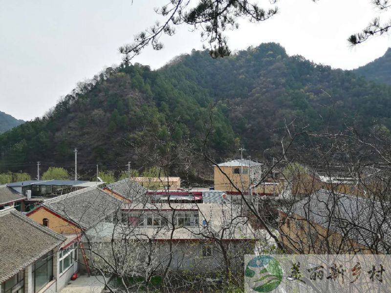 北京市怀柔区琉璃庙镇山中休闲自住院子出租