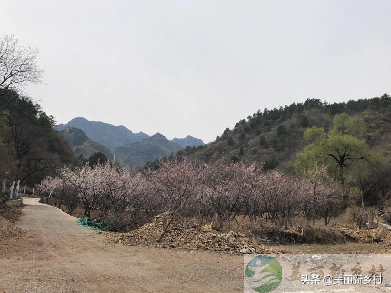 北京市怀柔区琉璃庙镇山中休闲自住院子出租